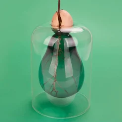 Avocado Seed Glass Vase