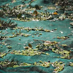 Honest Toil Extra Virgin Greek Olive Oil, 500ml