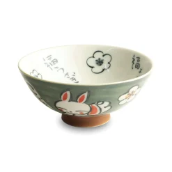 Japanese Kawaii Green Rabbit Rice Bowl, 14cm