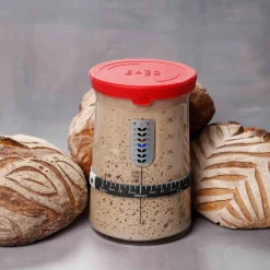 KneadAce Signature Sourdough Starter Jar Kit, 32oz