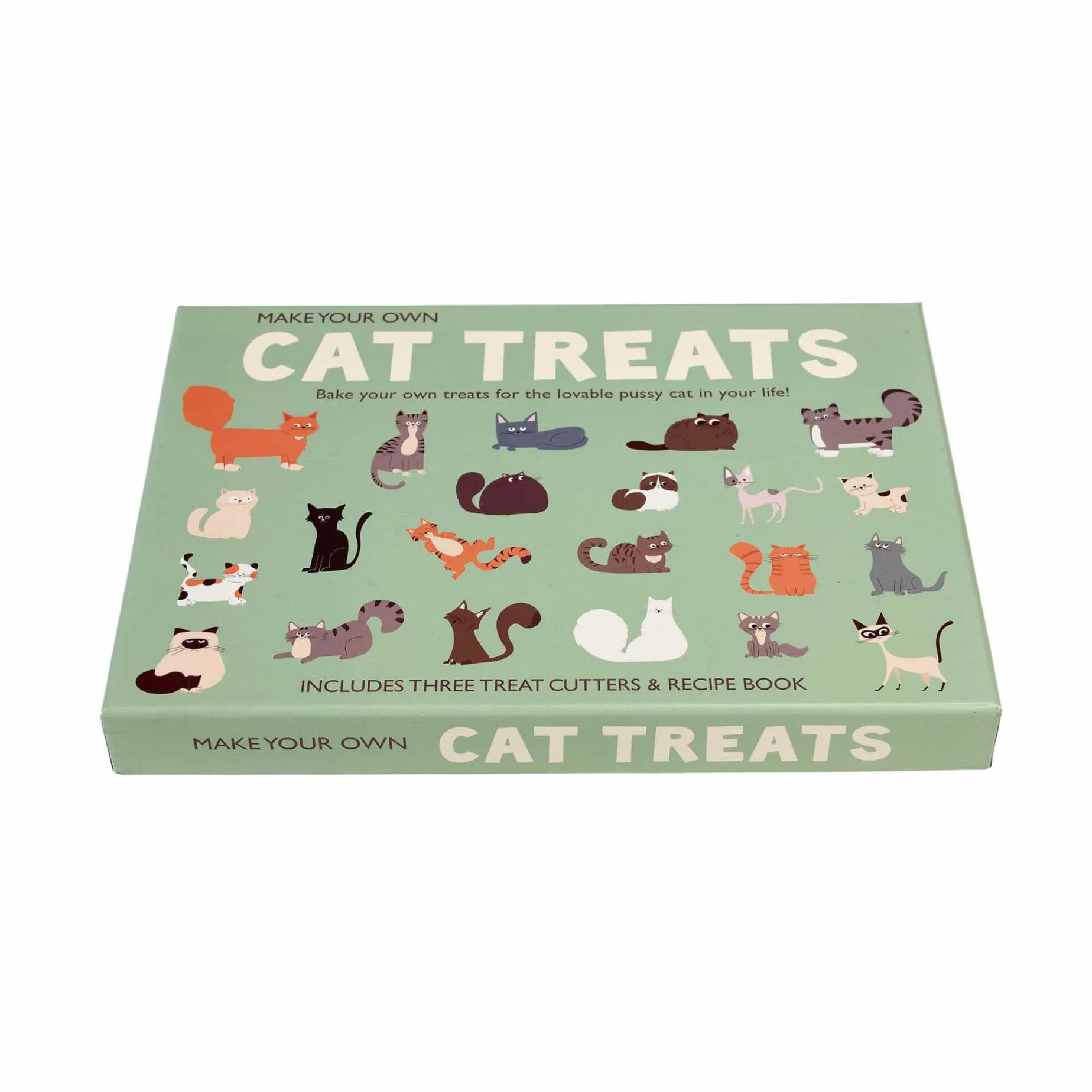 Make Your Own Cat Treats Kit