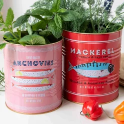 Set of 2 Mackerel & Anchovies Utensil Jars