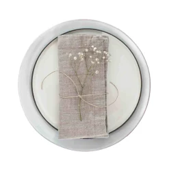Set of 2 Natural Linen Napkins