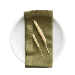 Set of 2 Olive Linen Napkins