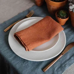 Set of 2 Rust Linen Napkins