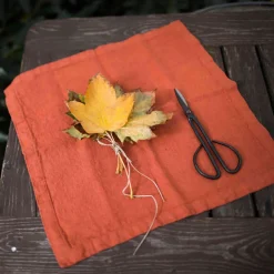 Set of 2 Rust Linen Napkins