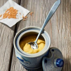 Triangle Stainless Steel Mustard & Dip Spoon