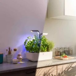 Veritable Classic Indoor Herb Garden